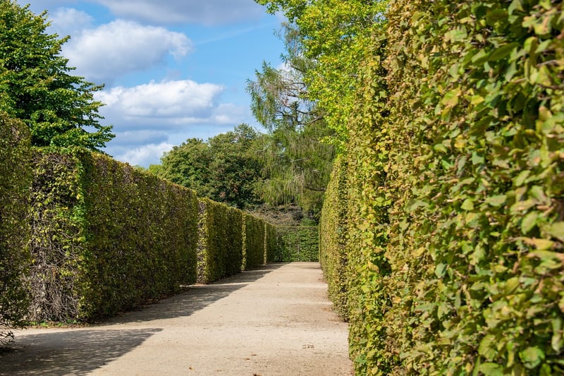Labyrinth Walking in Nature